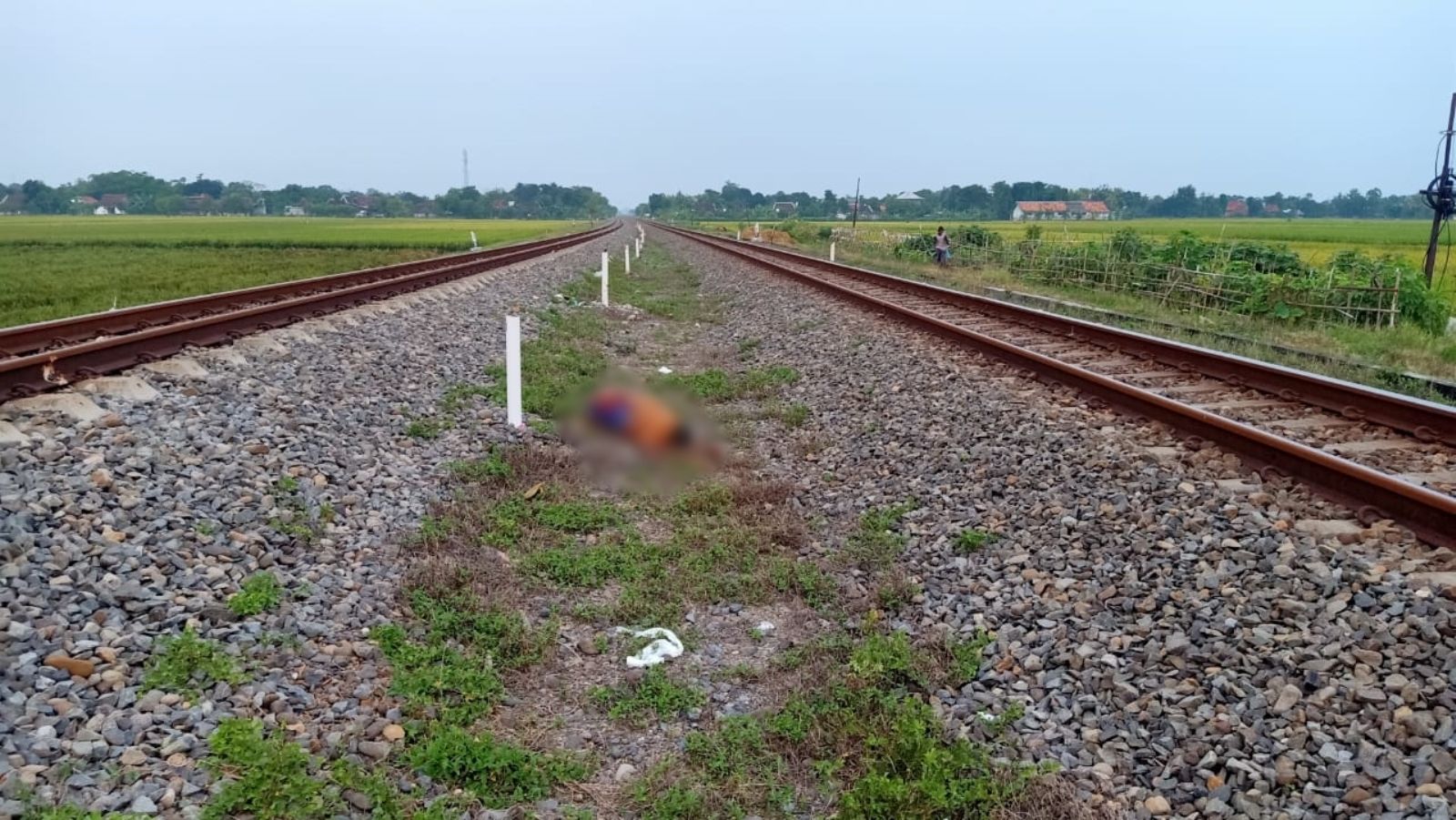 Korban ditemukan kali pertama di antara jalur hilir dan hulu KM 38, jalur rel antara Stasiun Karangjati - Stasiun Gubug.