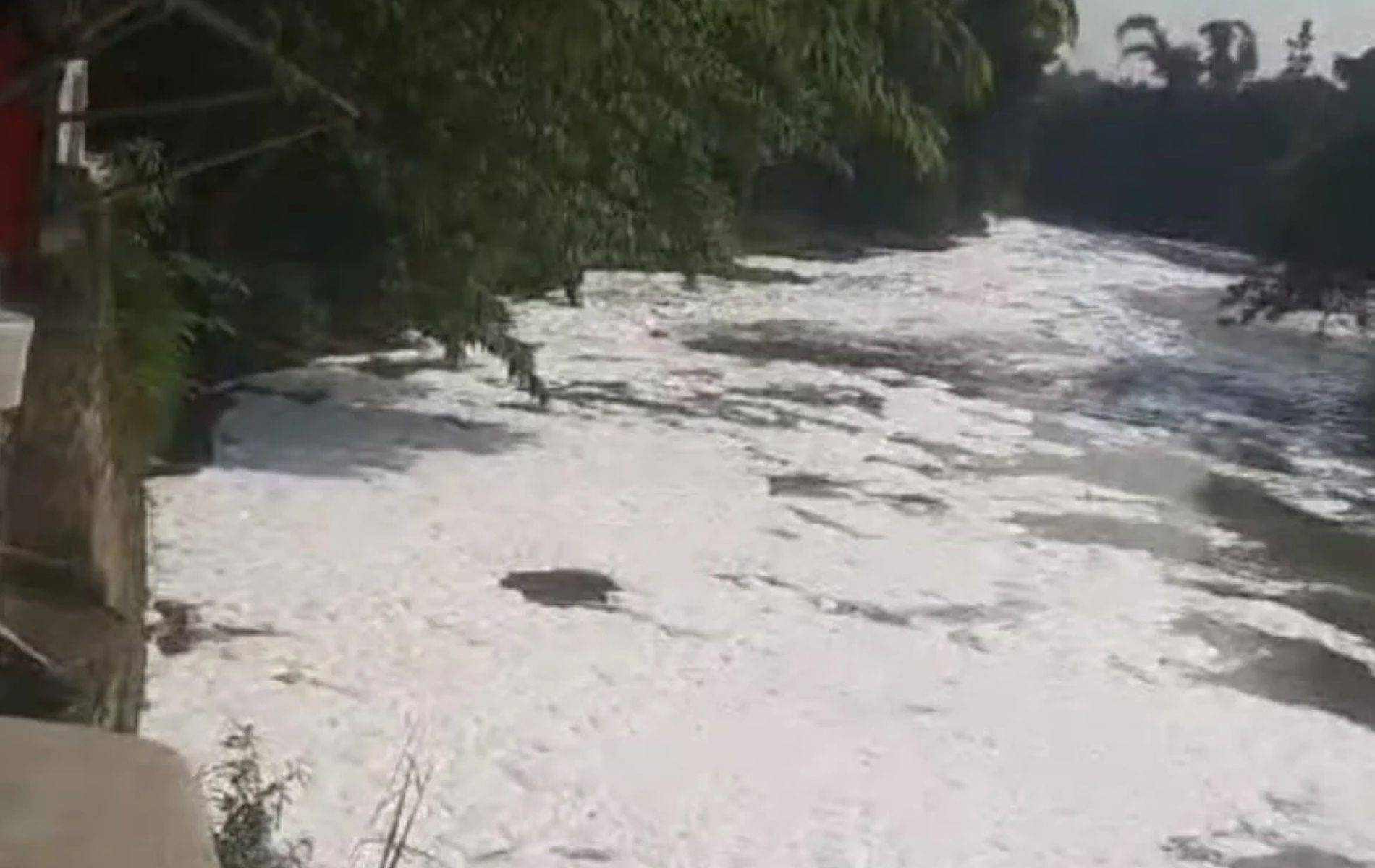 Sungai Ciliwung Bogor tercemar limbah busa dari pabrik pengolahan plastik.
