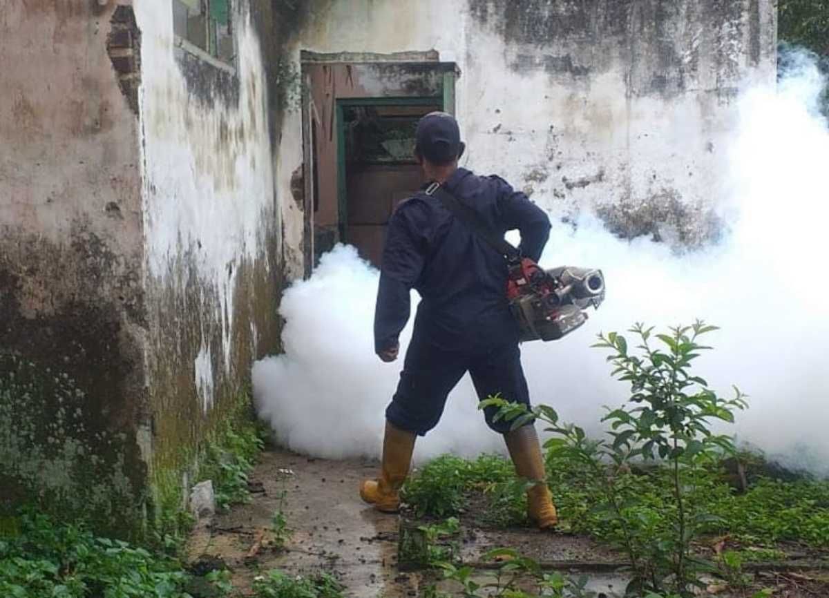 Para petugas dari Dinkes Kabupaten Garut melakukan fogging dan pengamatan jentik nyamuk dalam upaya penanggulangan kasus DBD di Kabupaten Garut