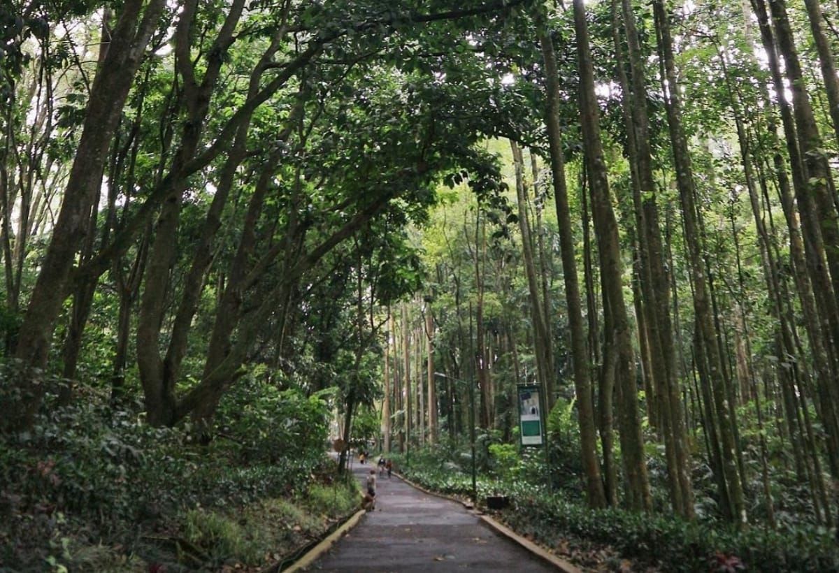 Taman Hutan Raya Ir.H.Djuanda merupakan salah satu tempat wisata di Bandung yang pas untuk dikunjungi saat libur Lebaran.