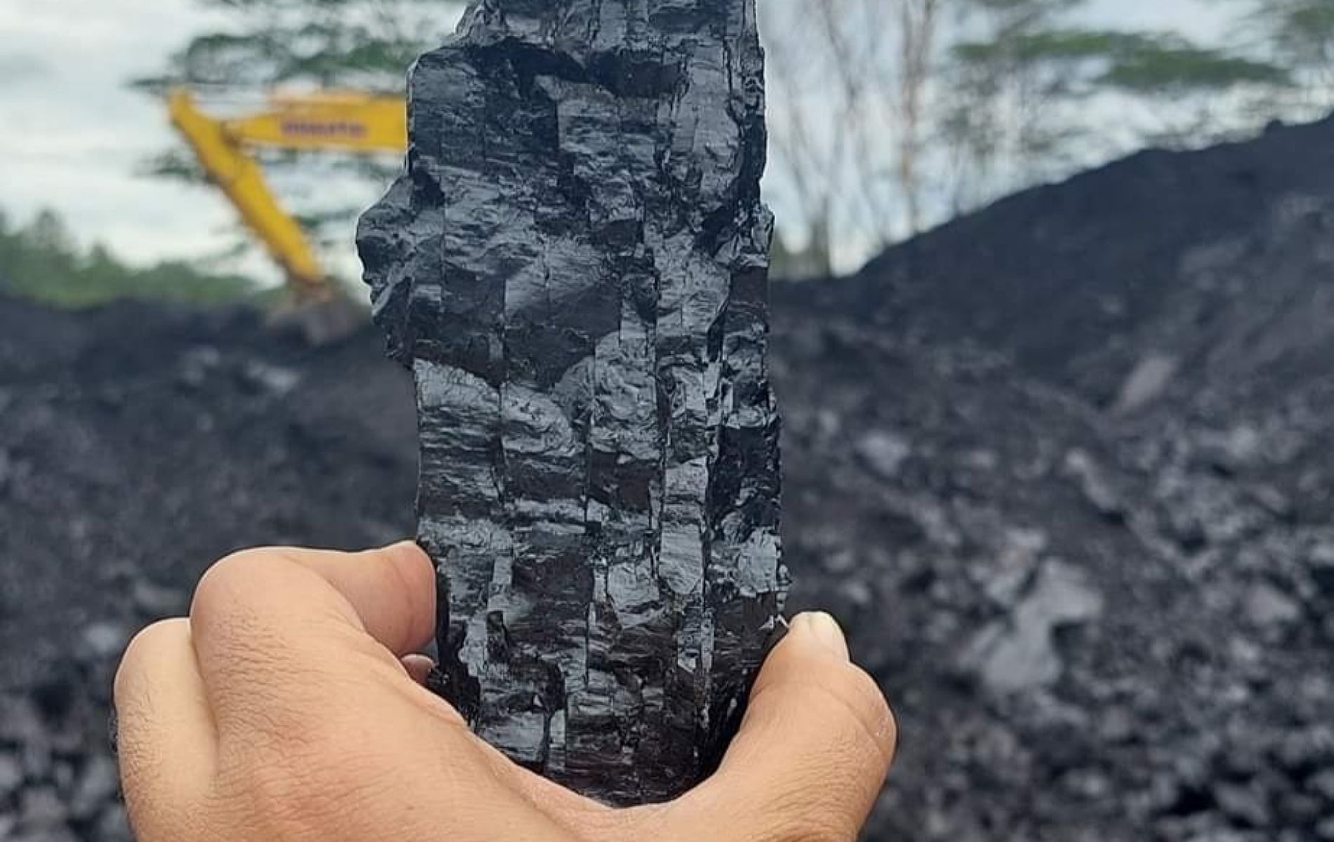 Batubara jenis antrasit keras dan mengkilap sebagai bongkahan batubara yang dibuat untuk berbagai sovenir unik