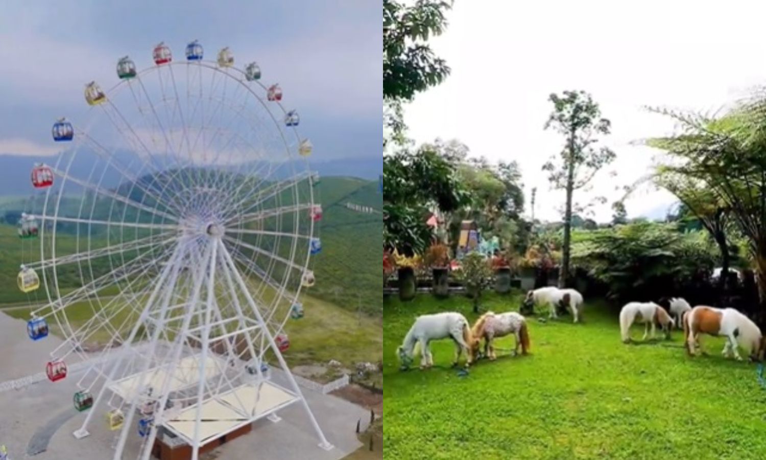 Tempat wisata di Bandung, Nimo Highland dan Lembang Park and Zoo.
