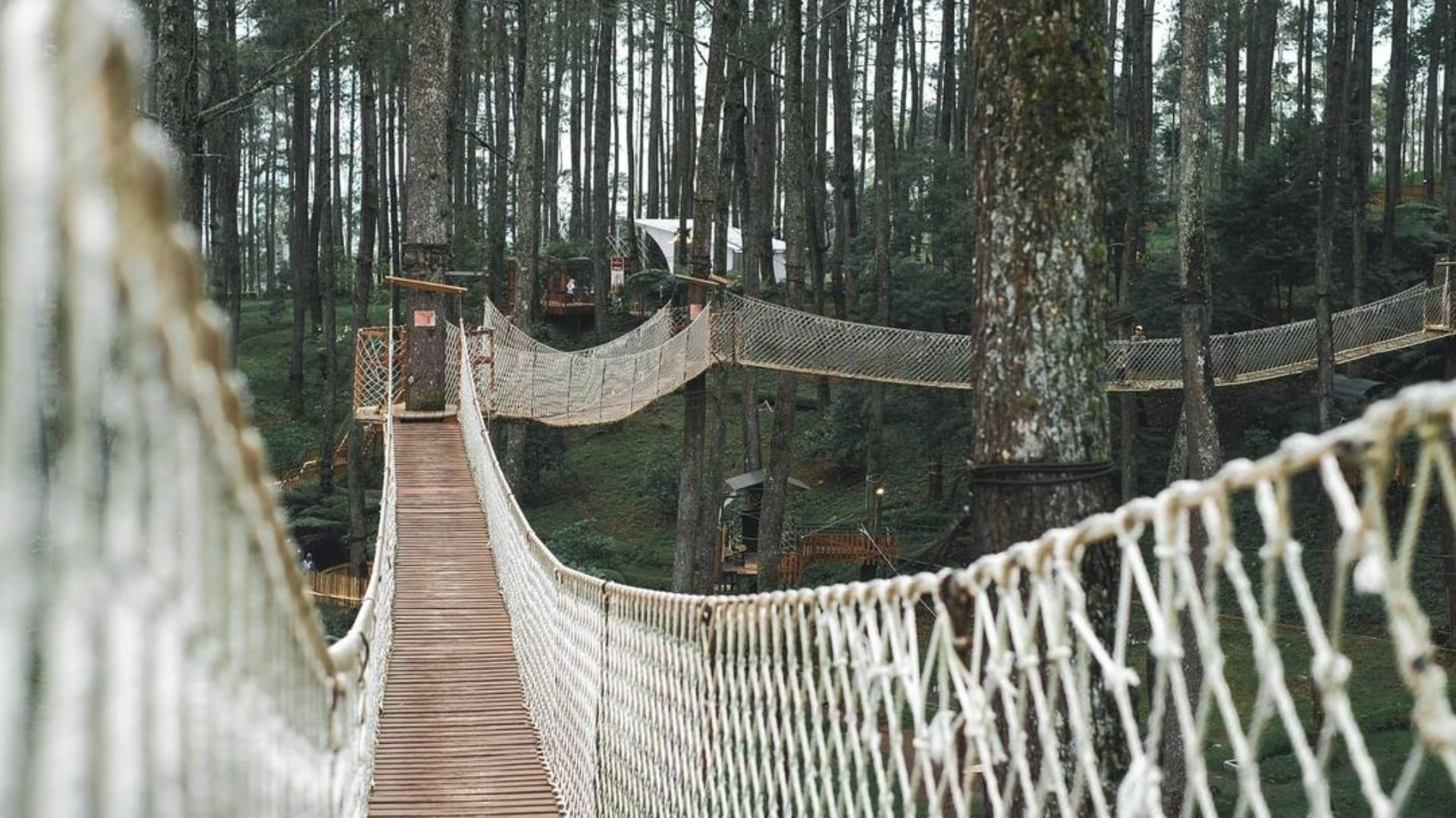 Jembatan ikonik di obyek wisata Orchid Forest Lembang/instagram@orchidforestcikole