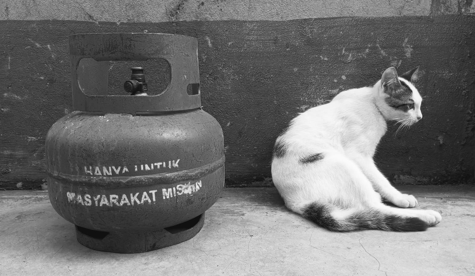 Tabung gas bersubsidi LPG 3 kg dan seekor kucing. Perpres nomor 104 tahun 2017 tentang penyediaan, pendistribusian, dan penetapan harga liquified petroleum gas (LPG) tabung tiga kilogram, peraturan yang mengatur pembaliannya.
