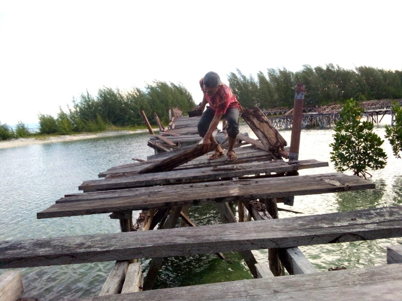 Jembatan love di wisata hutan Mangrove Pulau Dodola./Foto Ranto Daeng Badu