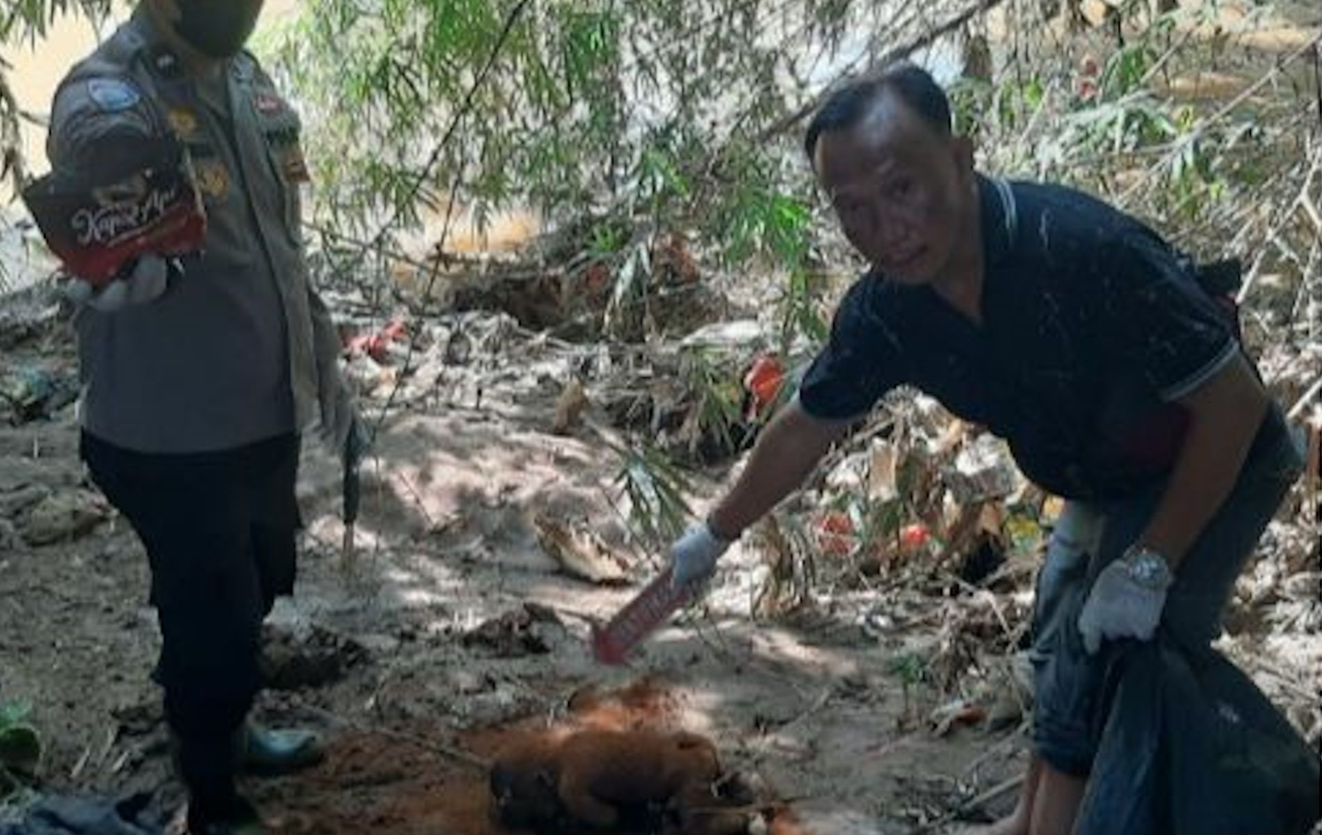 Petugas Polsek Gunung Putri melakukan olah TKP penemuan mayat bayi laki-laki di Kali Cikeas, Gunung Putri, Kabupaten Bogor, pada Sabtu (20/4).