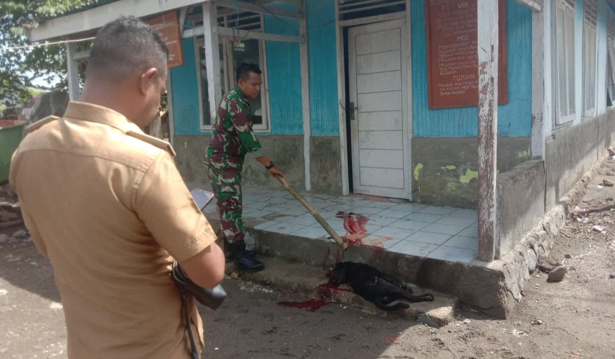 Petugas TNI saat mengeksekusi anjing milik warga di Kampung Garam, Kota Uneng, Senin (22/04/2024).//