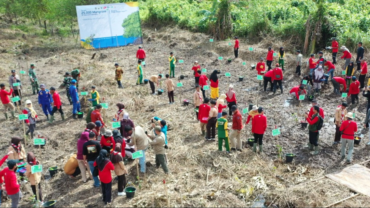 Mitigasi Perubahan Iklim, BPDAS Batanghari Bersama KLHK Tanam Mangrove Serentak di Seluruh Indonesia