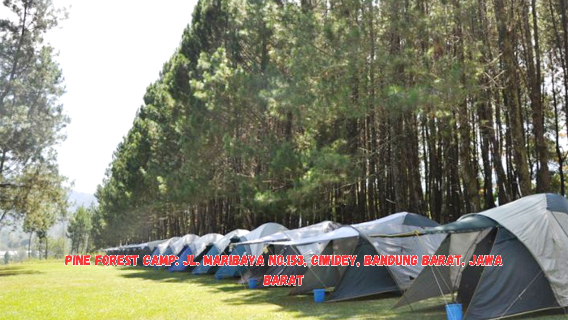 Pine Forest Camp: Jl. Maribaya No.153, Ciwidey, Bandung Barat, Jawa Barat