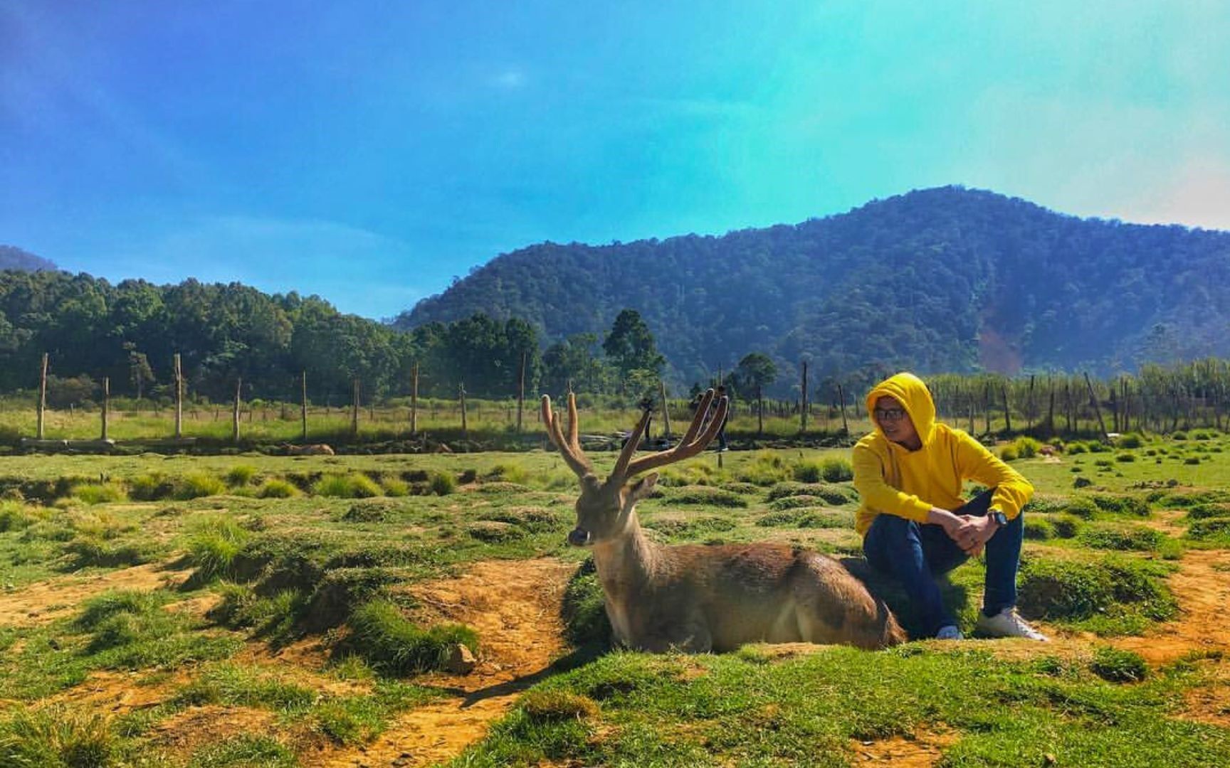 Ranca Upas berlokasi di Jalan Camp Ranca Upas, Patengan, Kecamatan Rancabali, Kabupaten Bandung, Jawa Barat/ Instagram/ idhayhidayat