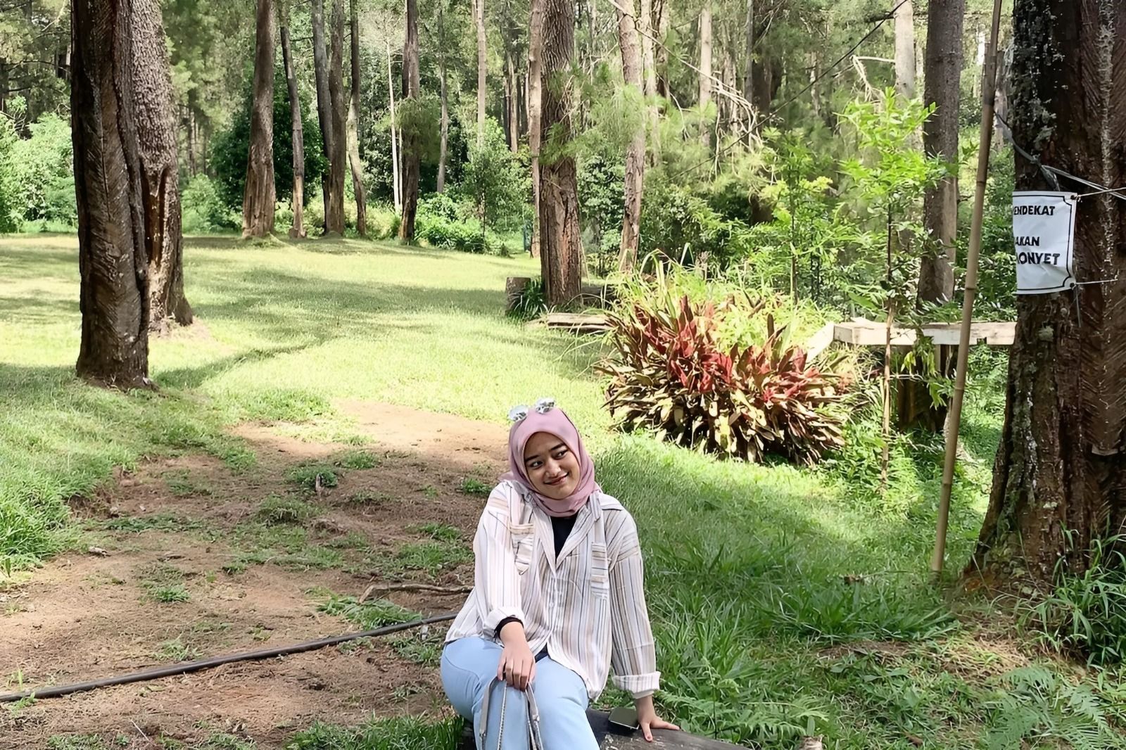 Hutan pinus Pal 16, salah satu tempat wisata murah dan hits di Kabupaten Bandung Barat.*