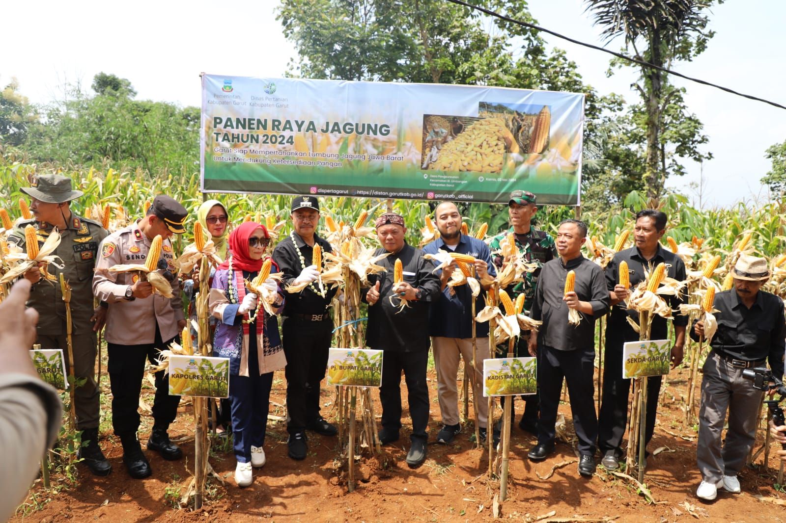 Pj Bupati Garut Barnas Adjidin didampingi Kepala Dinas Pertanian Haeruman saat panen raya jagung di Desa Pengeureunan.