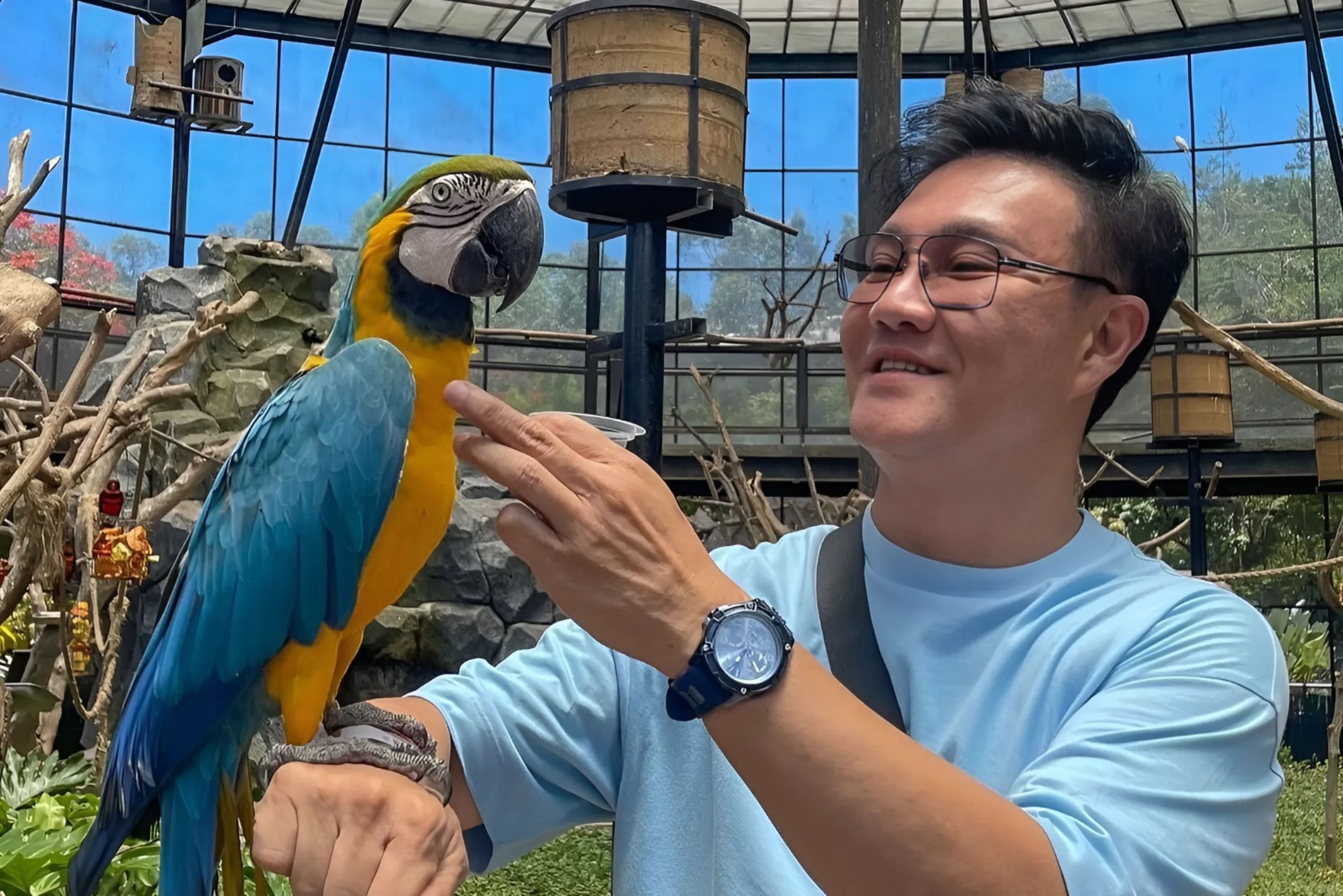 Bird Aviary, Salah Satu Tempat Paling Menarik di Tempat Wisata Lembang Park & Zoo. / instagram / @agooez_aza