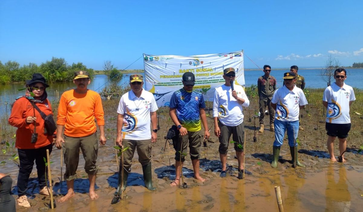 Kasatpol PP Jabar M. Ade Afriadi pimpinan penanaman bibit pohon mangrove di lokasi Jembatan Wiradinata Rangga Jipang Pantai Karang Tirta, Selasa, 7 Mei 2024.  