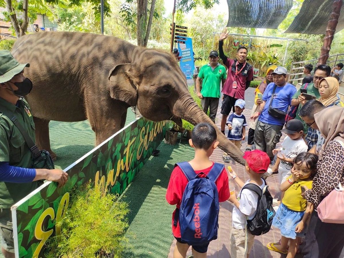 Jadikan Pengalaman Seru Berpetualang di Maharani Zoo dengan Membeli Tiketnya di Traveloka