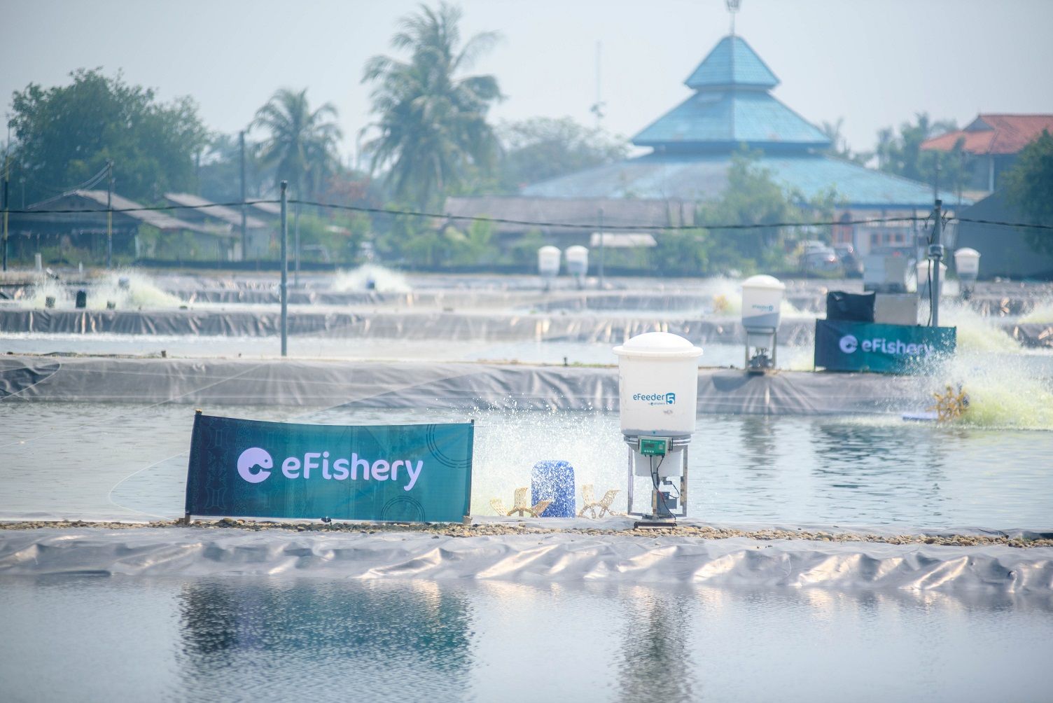 eFeeder, alat pemberi makan ikan dan udang otomatis yang diciptakan eFishery sebagai penunjang keberlanjutan budidaya ikan nila salin. Sumber: eFishery