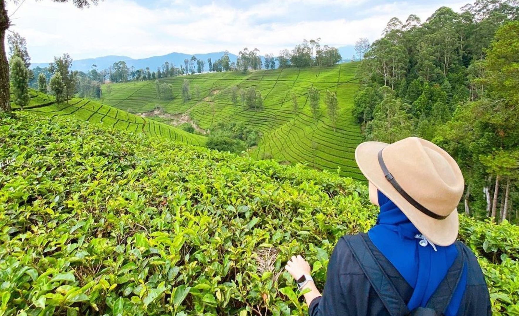 Tempat Wisata Alam Hits Dekat Ciater Subang Yuk Ke Astro Highland Ada