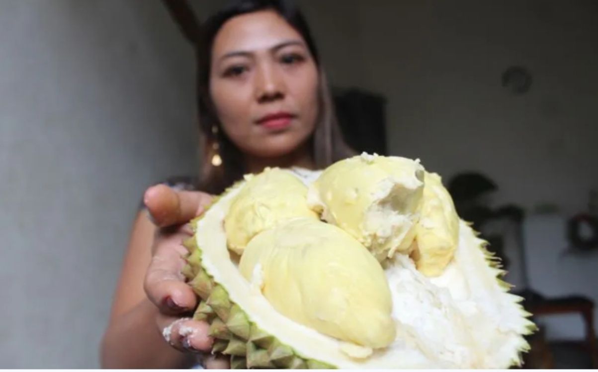 Warga memperlihatkan buah durian jenis "Mbah Woro" di Dusun Jeruk, Desa Karangan, Kecamatan Bareng, Kabupaten Jombang, Jawa Timur/ANTARA FOTO/Syaiful Arif/