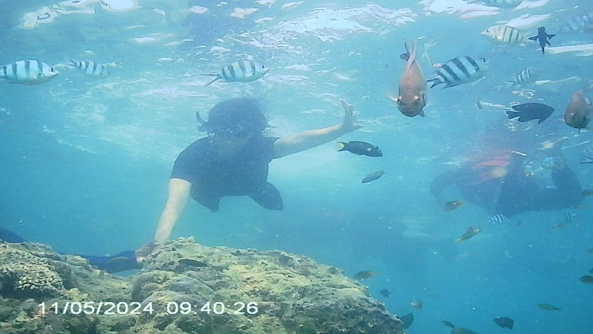 Aktivitas snorkeling anggota Baraya di Pantai Pulau Burung.*