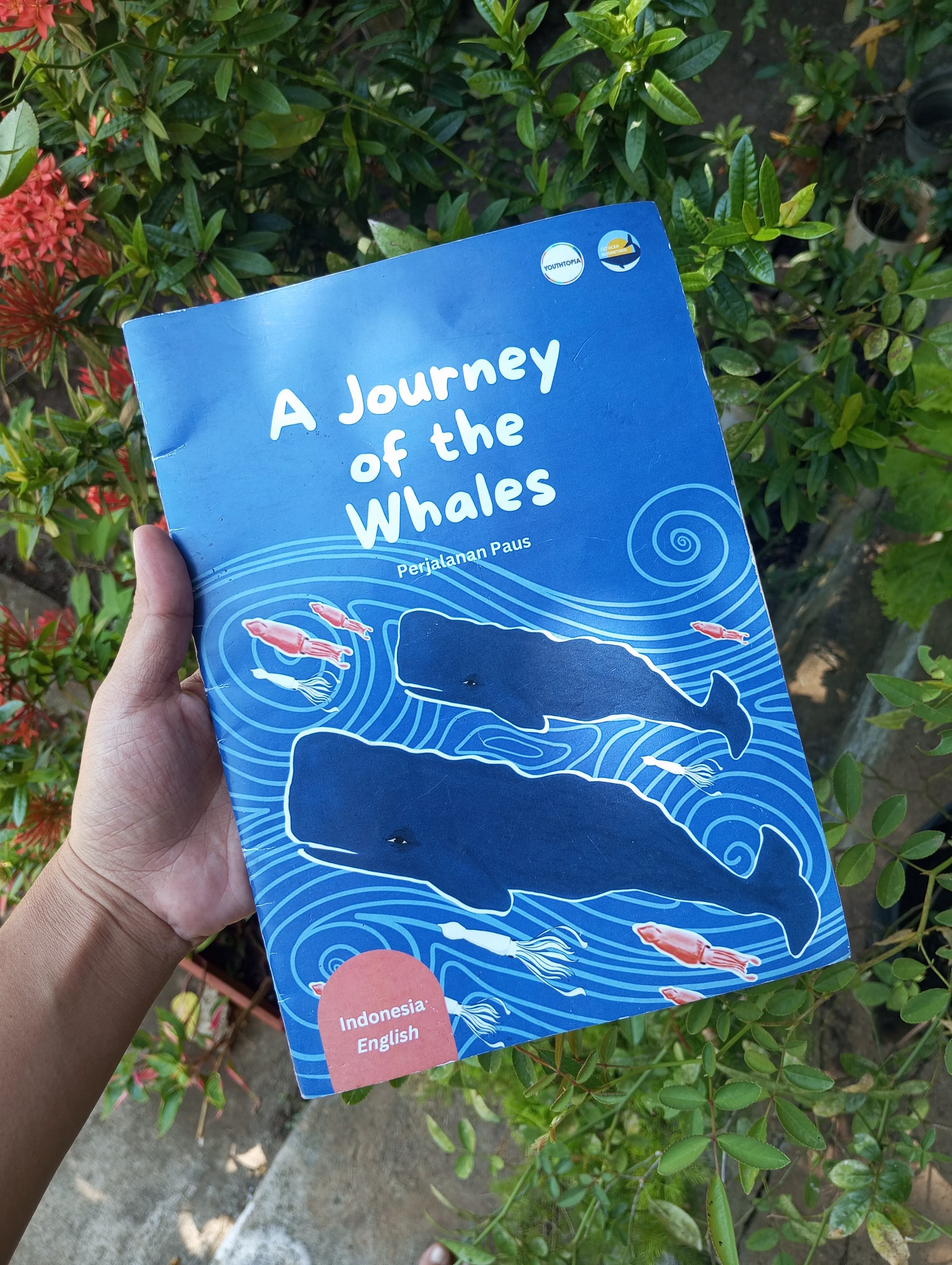 Buku A Journey of The Whales, buku anak yang diilustrasikan oleh Melan.