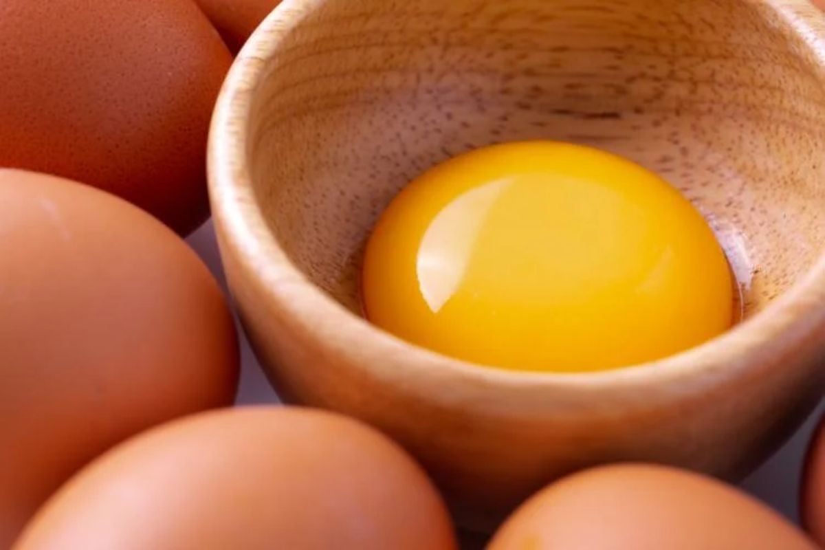 Telur memiliki nutrisi yang penting untuk kesehatan tubuh dan juga rambut/