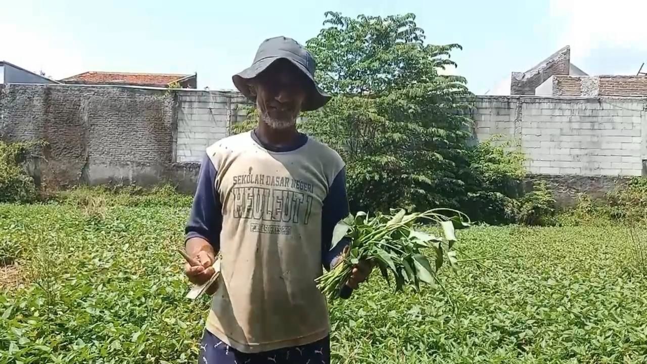 Muhamad Ali Usman (49 tahun) petani kangkung asal Blok Cikenong, Desa Heuleut, Kecamatan Kadipaten, Kabupaten Majalengka.*