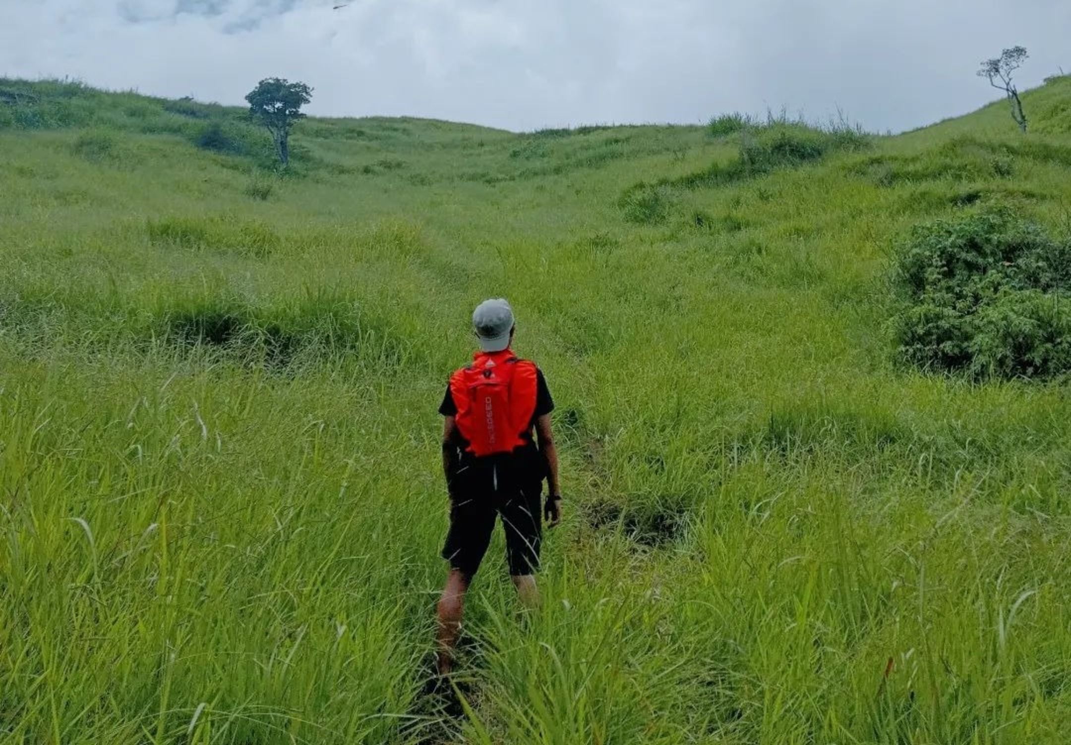 Menikmati hamparan rerumputan di Gunung Pangradinan Cikancung/ Instagram/ @usmh.39