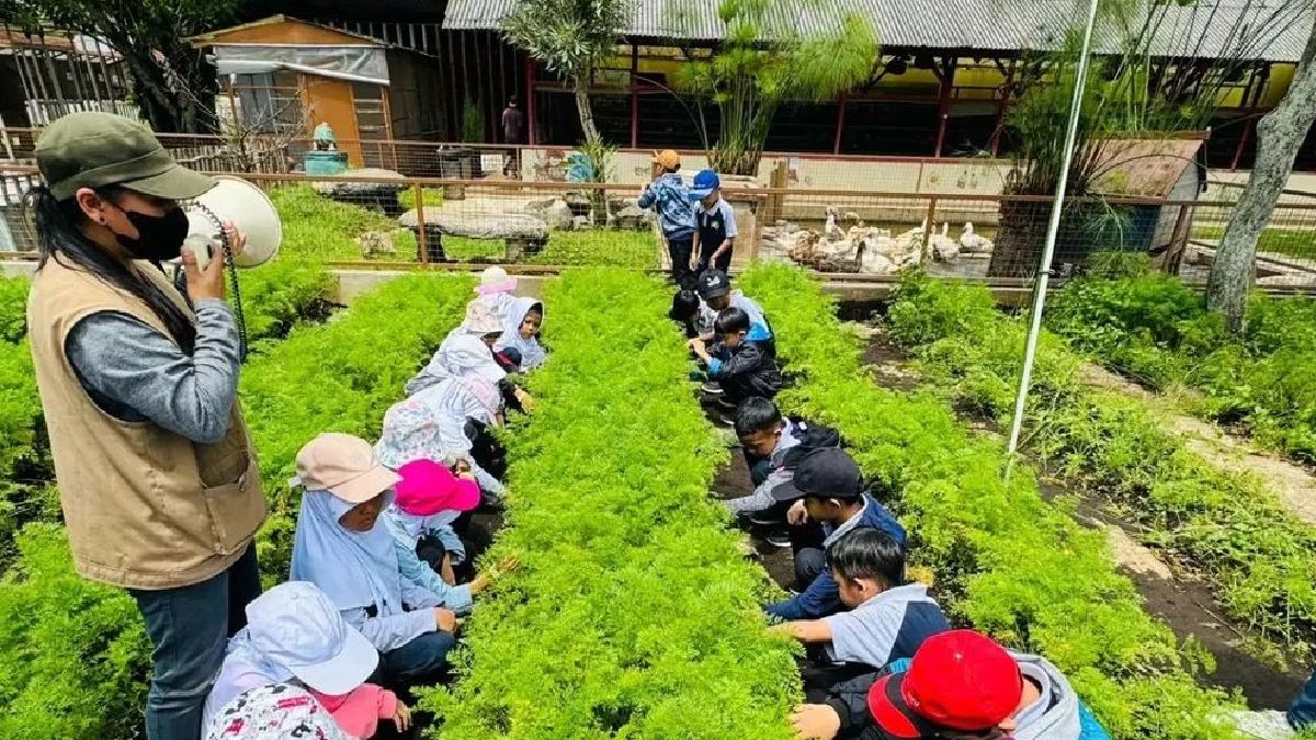 Para pelajar sedang belajar berkebun di Jendela Alam Bandung