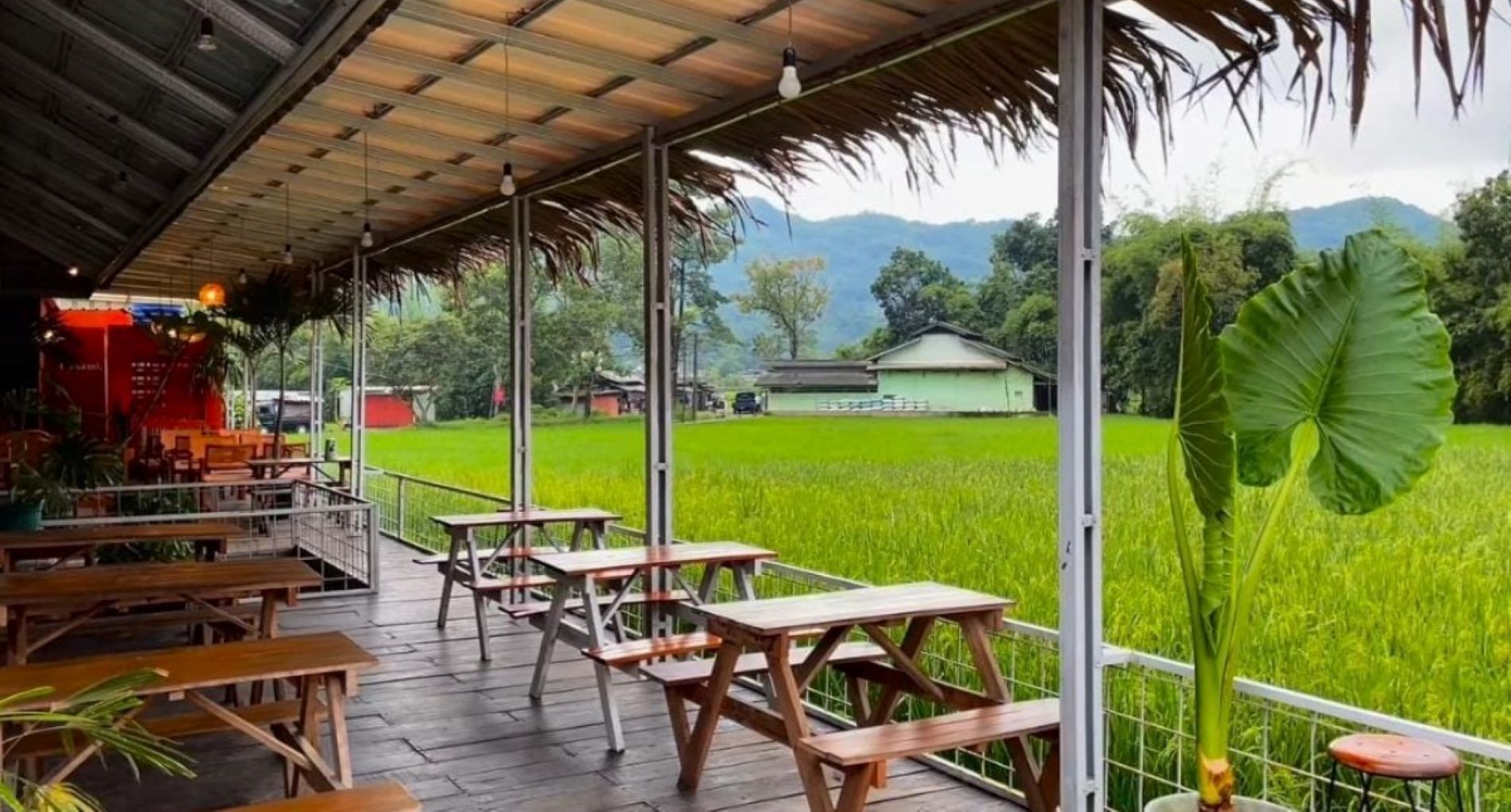 Pemandangan di Badami Kafe View Ciamik di Sumedang/Instagram/badami.coffee 