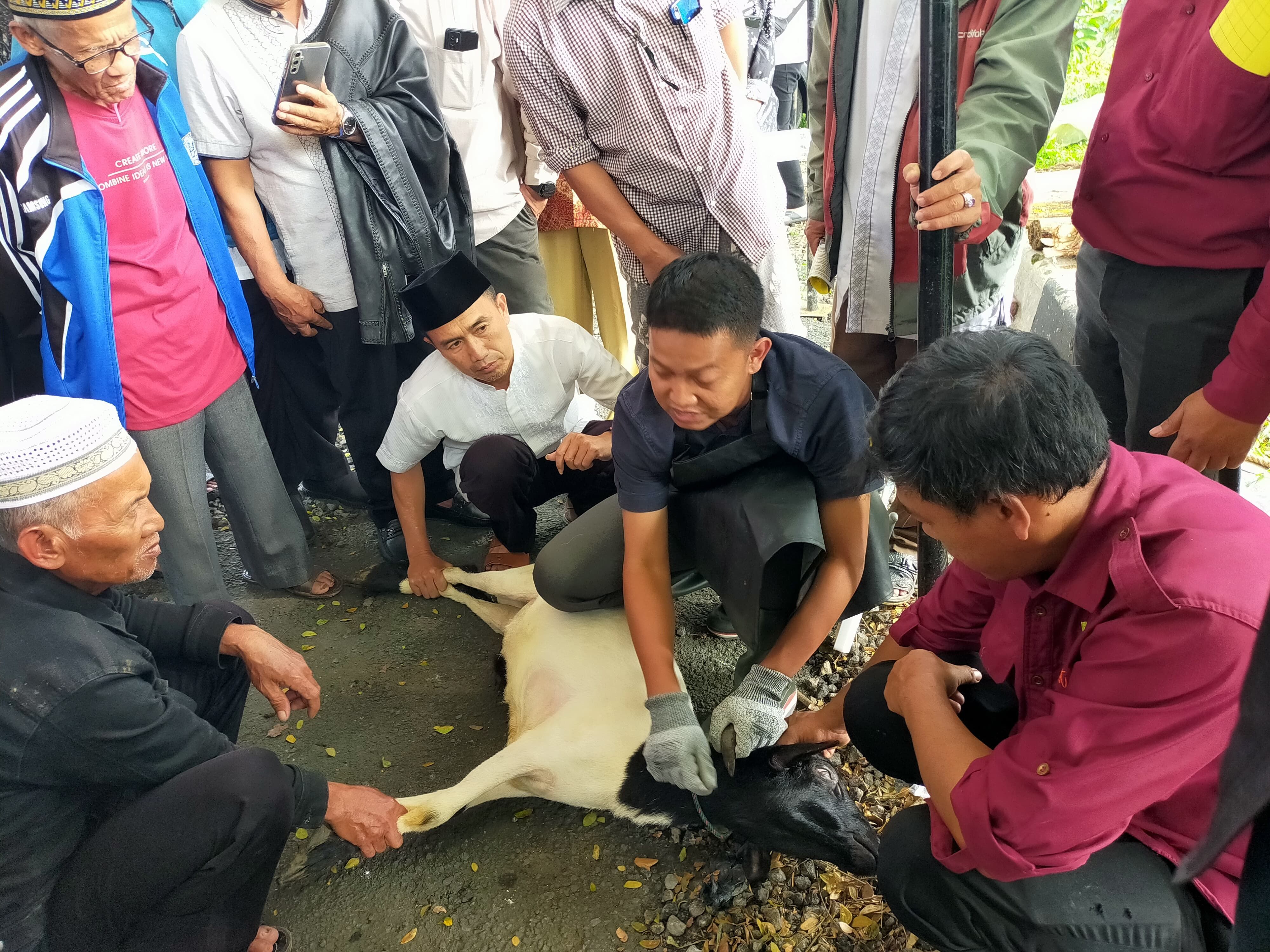 Praktik pelatihan penyembelihan hewan kurban di halaman Gedung Islamic Centre Kota Sukabumi, Rabu 29 Mei 2024.