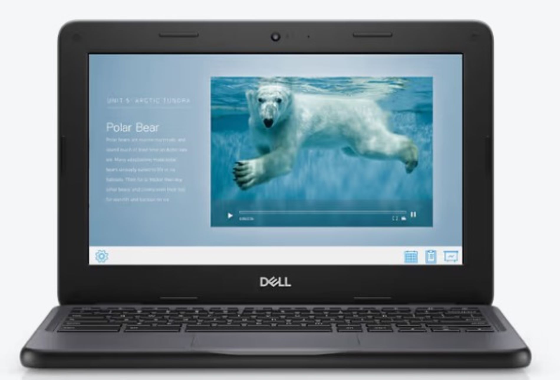 Dell Chromebook 3100 11 inci/