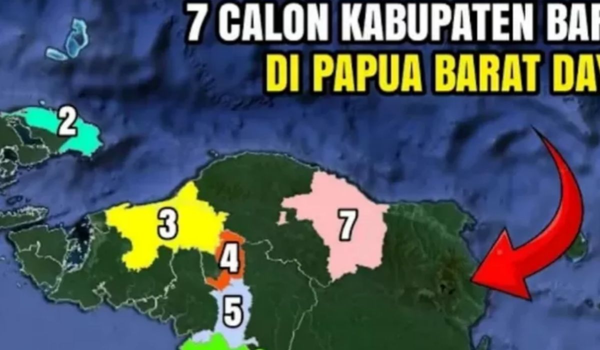 Inilah peta wilayah wacana Pemekaran di Papua Barat