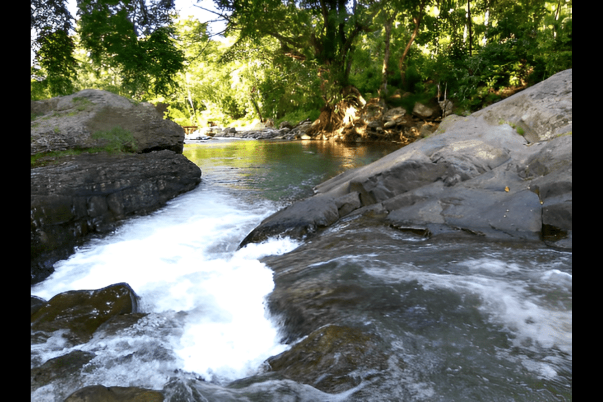 Krueng Lhok Gop, Sungai Cantik di Tengah Hijau Pidie Jaya
