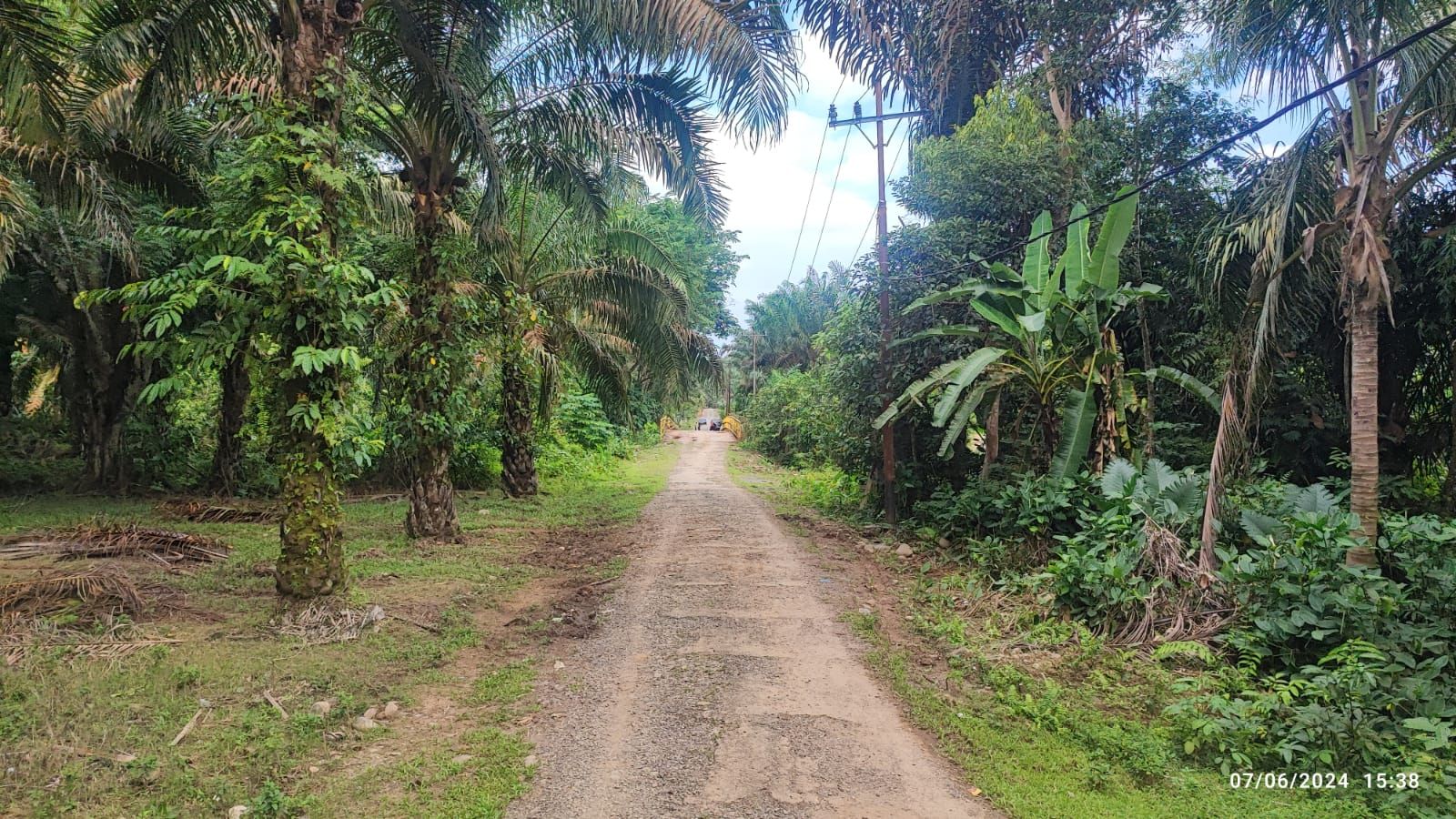 Ruas jalan Simpang Pasar Hilalang - Saso Baki yang akan dibangun dengan anggaran DBH Perkebunan Sawit / marawatalk / ist