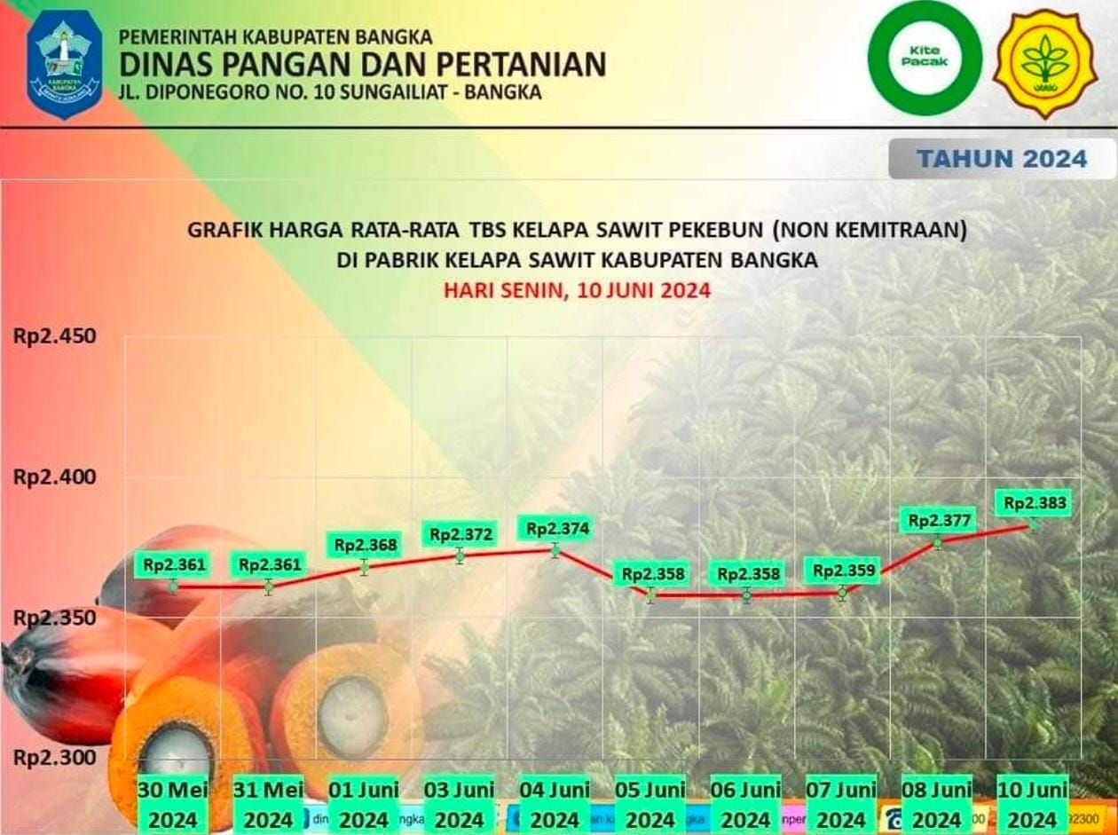 grafik harga rata-rata TBS kelapa sawit Kabupaten Bangka periode tanggal 1-10 Juni 2024.