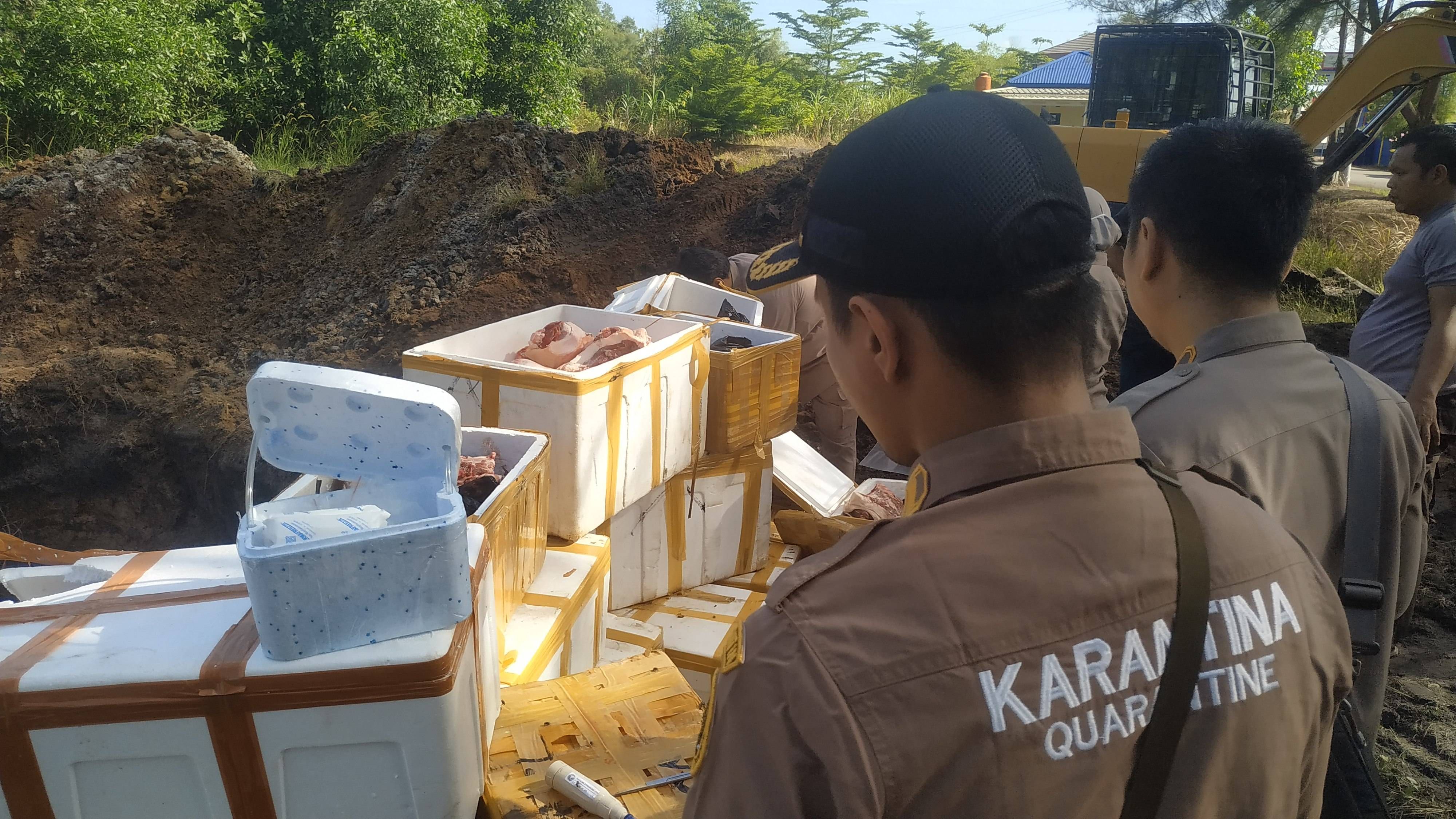 Petugas Balai Karantina Hewan, Ikan dan Tumbuhan Babel mengambil sampel daging babi sebagai barang bukti penyidikan kepolisian. 