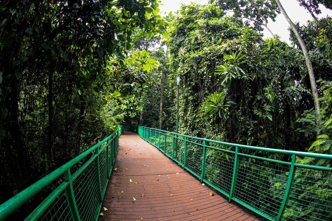 Petualangan Seru Menanti di Forest Walk Babakan Siliwangi, Rasakan Pengalaman Jadi SUltan Sehari di Bandung!