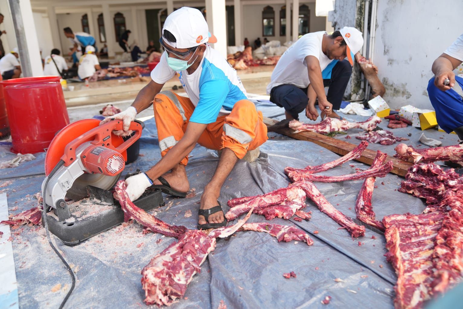 PGN Group memotong dan membagikan 382 hewan qurban dengan rincian 34 ekor sapi dan 348 ekor kambing