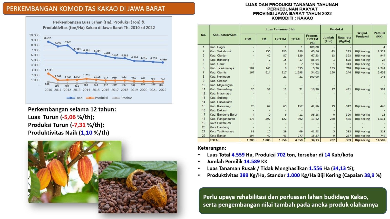 Tabel produksi kakao di Jawa Barat tahun 2022.