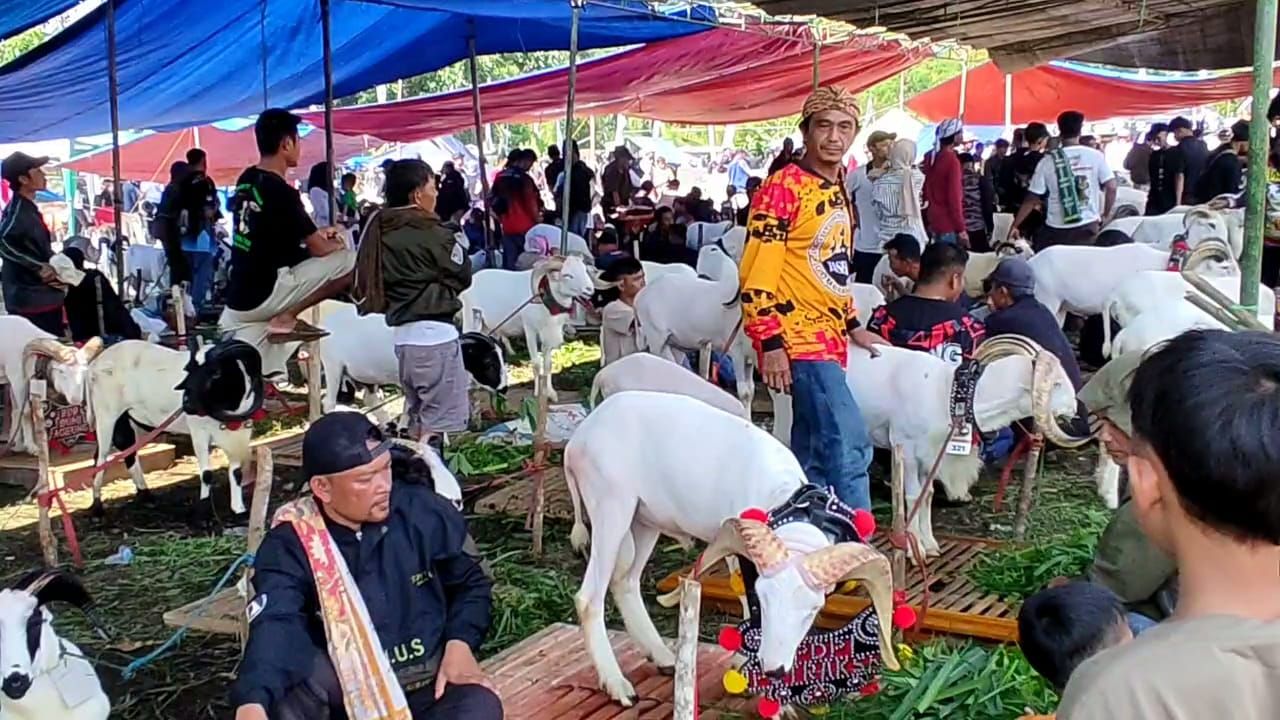 Ratusan peternak domba dan kambing dari berbagai wilayah di Kabupaten Tasikmalaya mengikuti pesta patok bagi hewan ternak mereka,