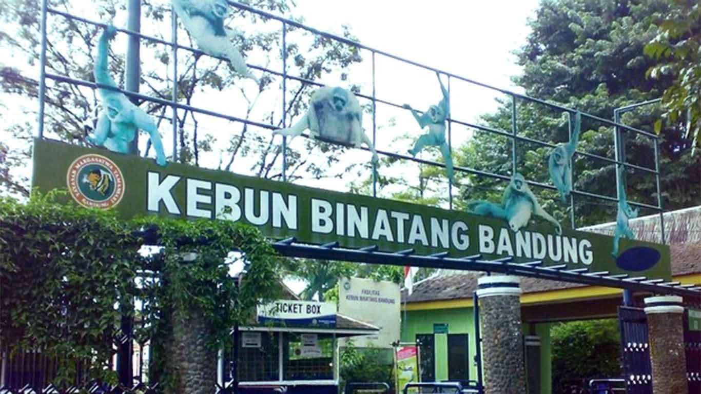 5 Rekomendasi Kebun Binatang Di Bandung Dan Jabodetabek, Cocok Untuk ...