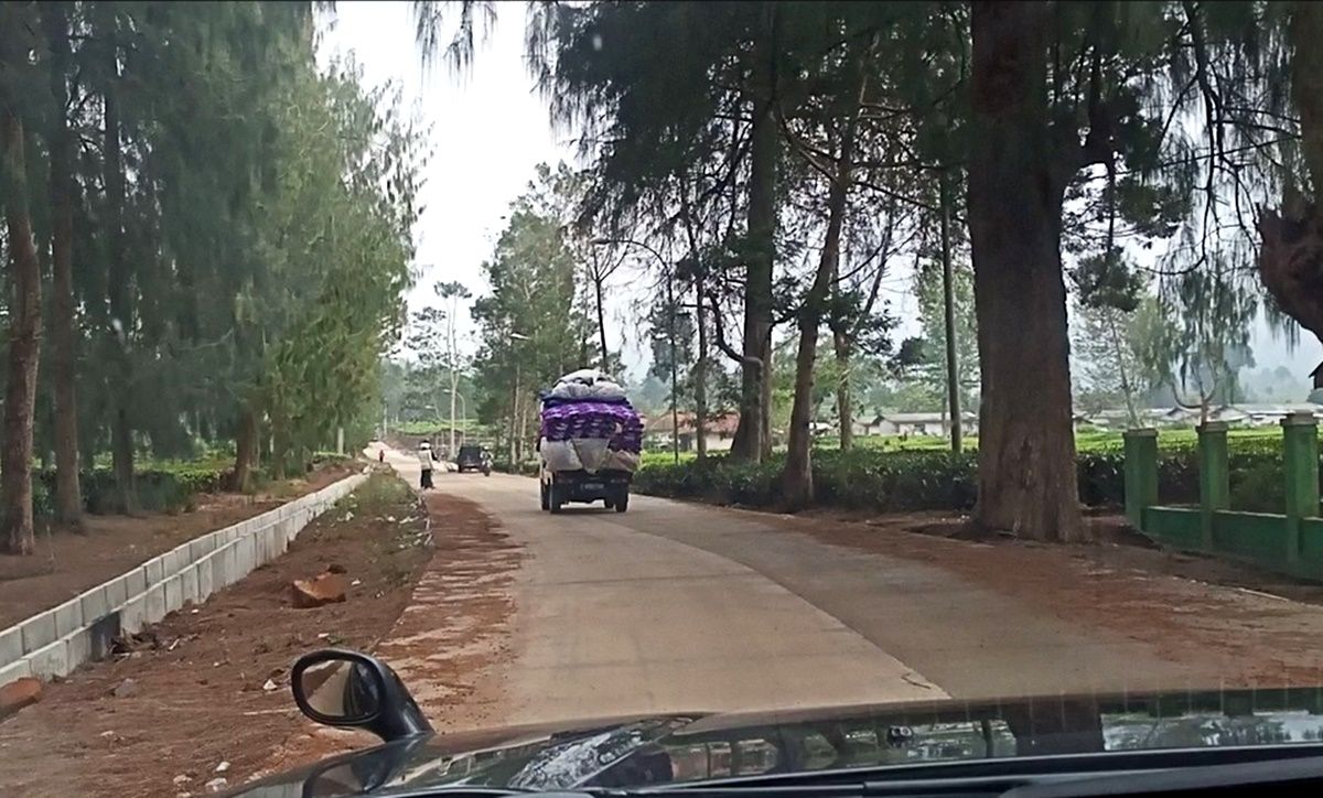 Suasana pemandangan alam pada kawasan perkebunan teh di Bandung, dari dalam mobil jenis SUV.