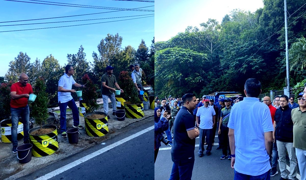 Penanaman pohon pucuk merah di sepanjang jalur Puncak, Bogor, Jumat, 19 Juli 2024, tampak Manajer Agrowisata PTPN I Regional 2, Reza PDP (kaos biru tua). 