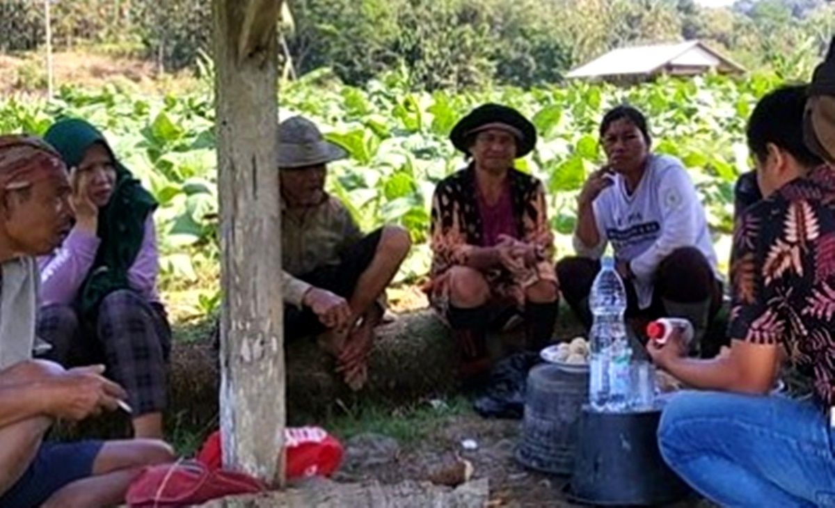 Petugas dinas terkait memberikan petunjuk kepada petani tembakau di Kecamatan Paseh, Sumedan, mengendalikan serangan virus tanaman tembakau, 26 Juli 2024.