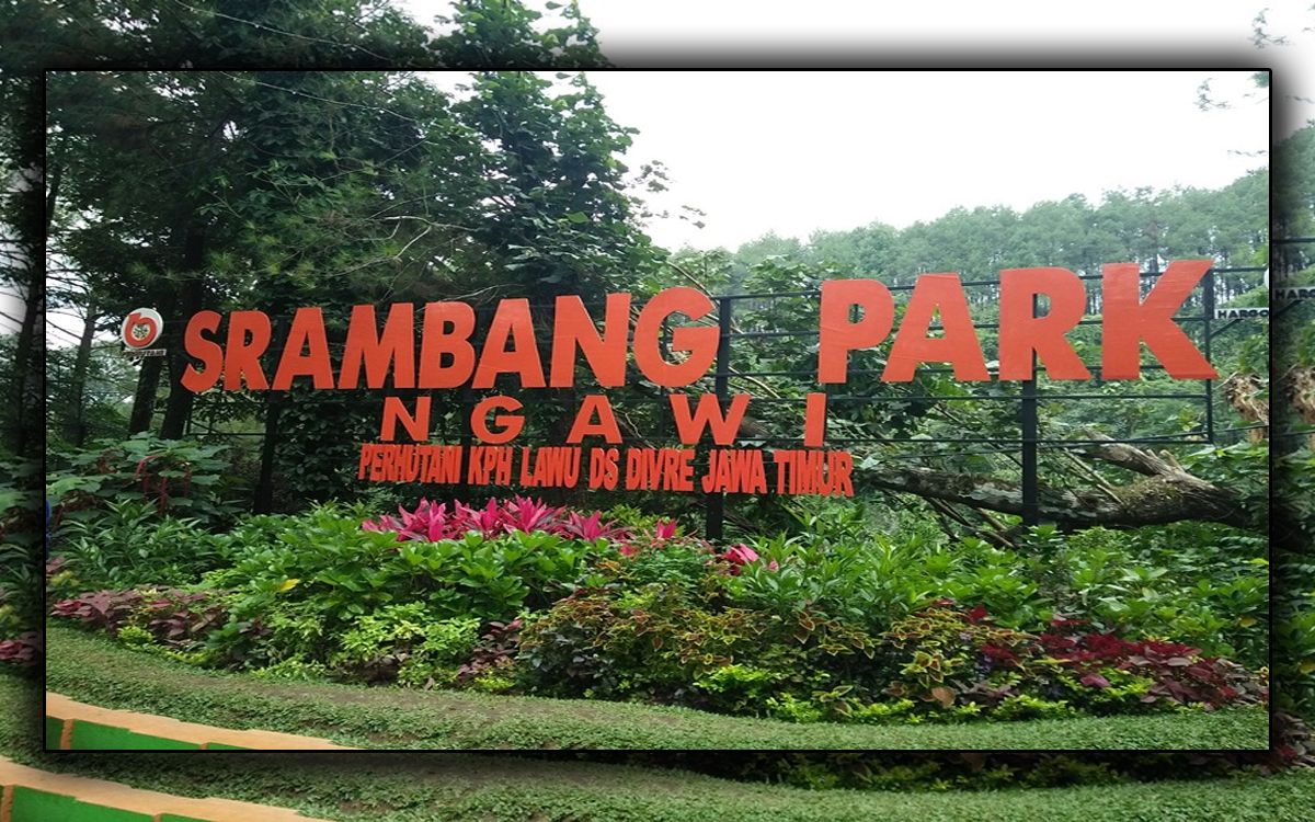 Siap Traveling? Srambang Park di Ngawi Siap Menyuguhkan Keajaiban Alam!