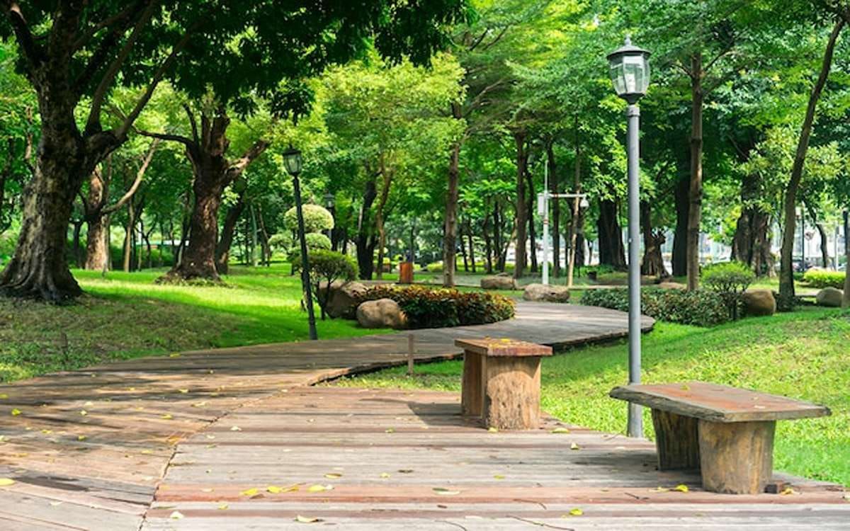 Ilustrasi Taman Hutan Kota / Freepik / victor207