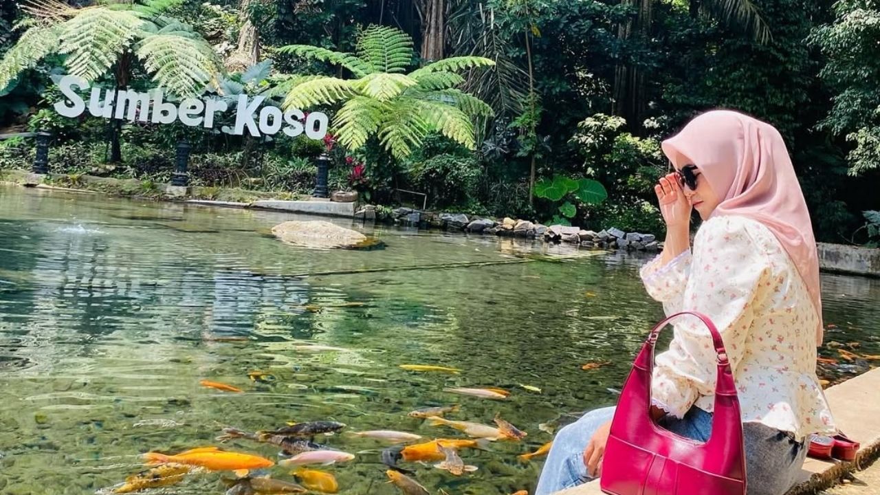 Daya tarik dari Sumber Koso adalah kolam besar berisi ikan koi. Air di kolam ini berasal dari mata air alami yang sangat jernih, menciptakan pengalaman visual yang menenangkan