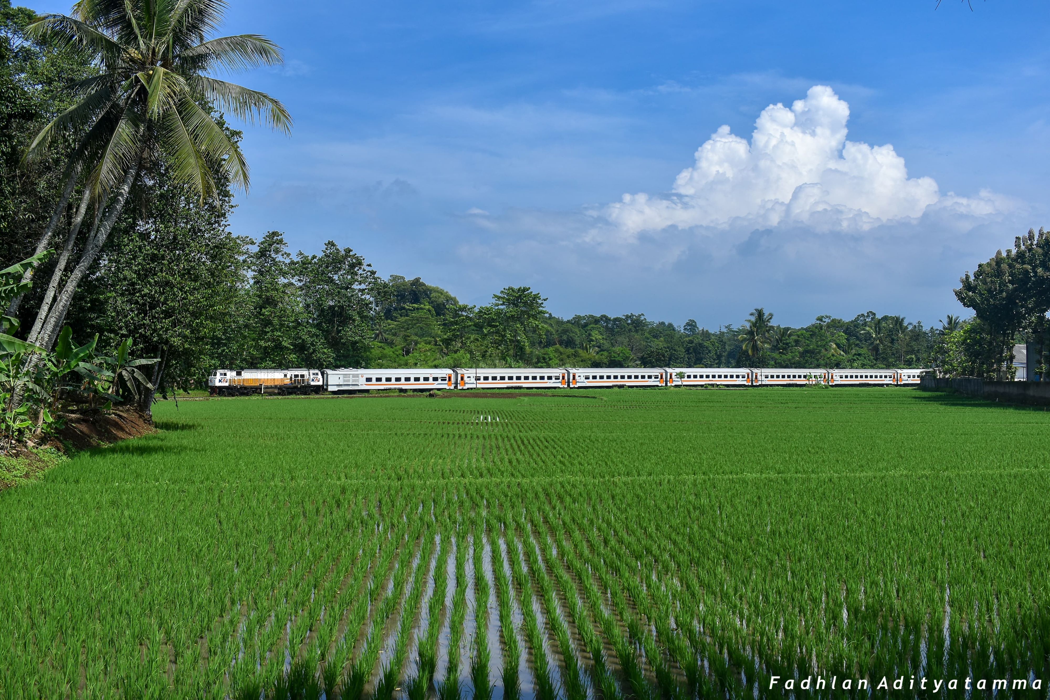 Kereta Parahyangan Bandung Jakarta yang menawarkan panorama indah dan cantik