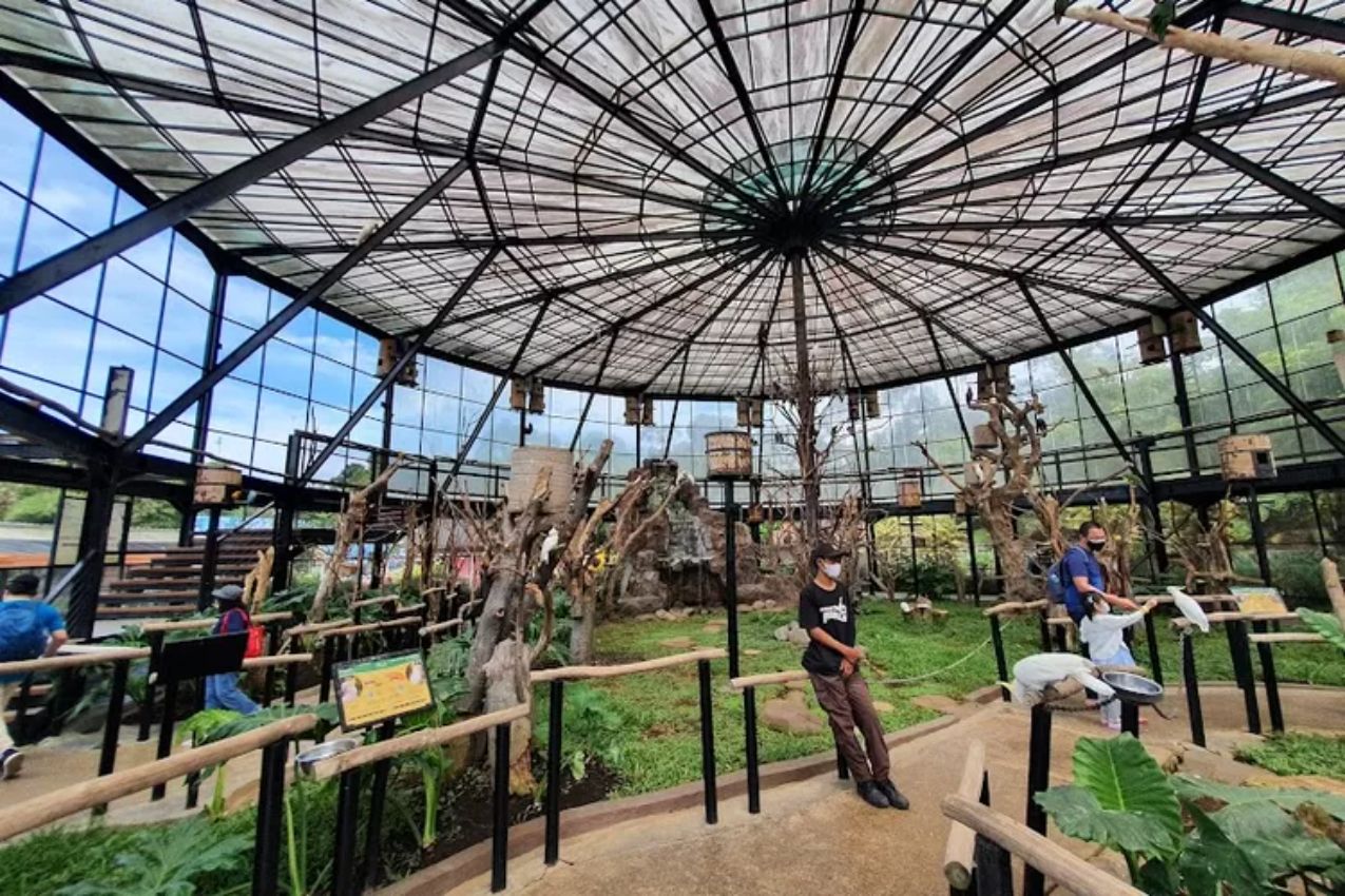 Lembang Park & Zoo: Bertemu Satwa dan Bersantai di Kafe Kucing
