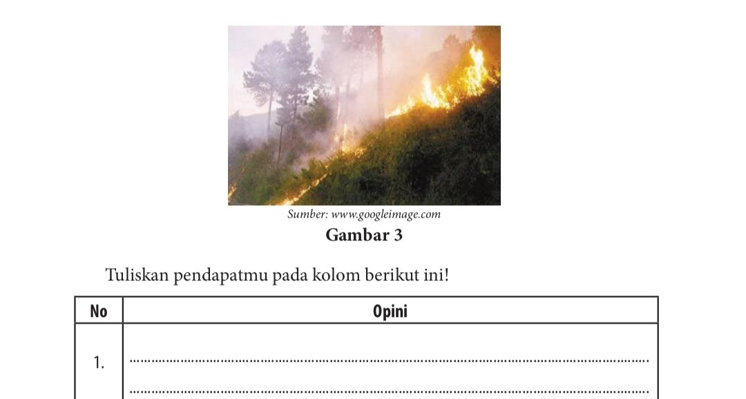 Kunci Jawaban Bahasa Indonesia Kelas 12 halaman 145 dan halaman 146 Artikel Opini Sesuai Gambar.*